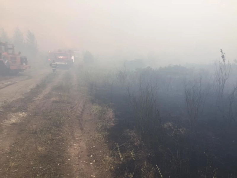 Ликвидация крупного лесного пожара в Самарской области
