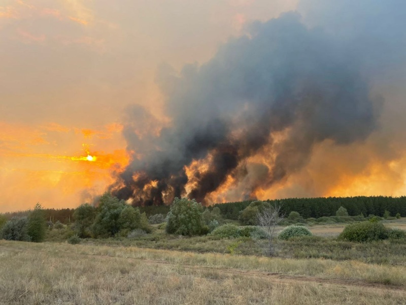 Пожар в Борском районе, с. Гвардейцы Самарской области