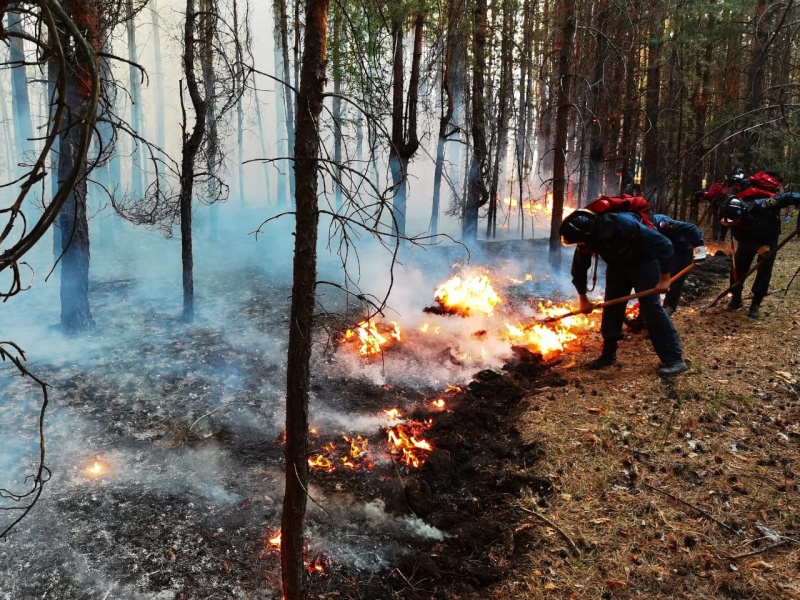 Пожар в поселке Приовражный, Хворостянского района, Самарской области