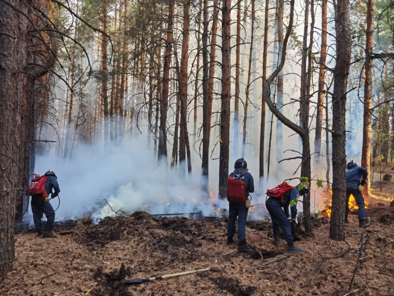 Пожар в поселке Приовражный, Хворостянского района, Самарской области