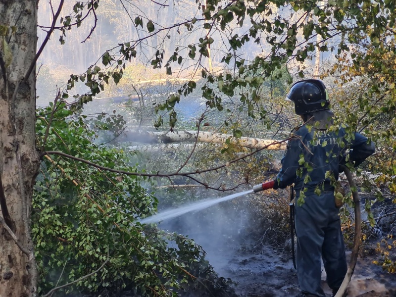 Пожар в Борском районе, Самарской области