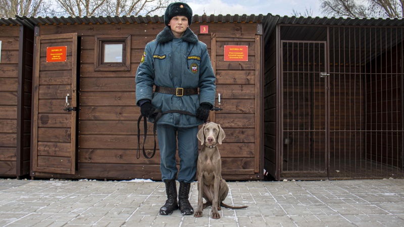 Пополнение в питомнике служебных собак Волжского спасательного центра