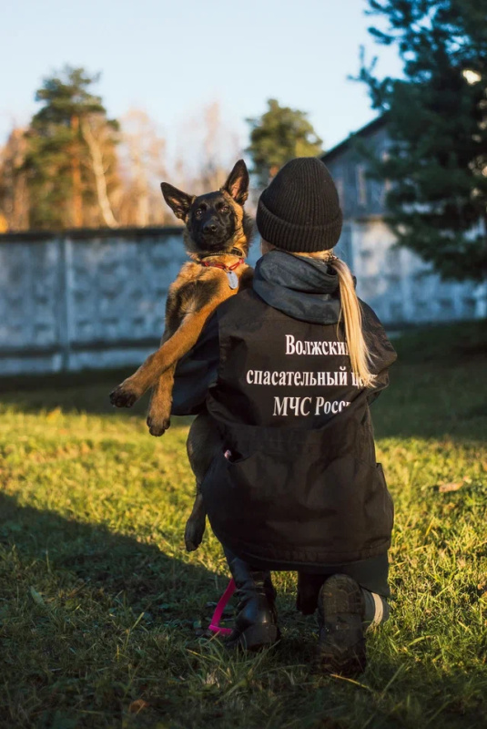 Кинологи спасательного центра проходят подготовку по программе проводник (вожатый) служебных собак Кинологи спасательного центра проходят подготовку по программе проводник (вожатый) служебных собак