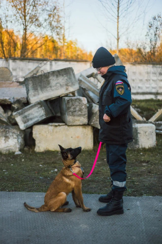 Кинологи спасательного центра проходят подготовку по программе проводник (вожатый) служебных собак