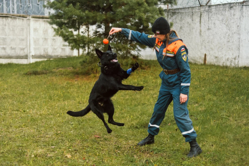 Кинологи спасательного центра проходят подготовку по программе проводник (вожатый) служебных собак