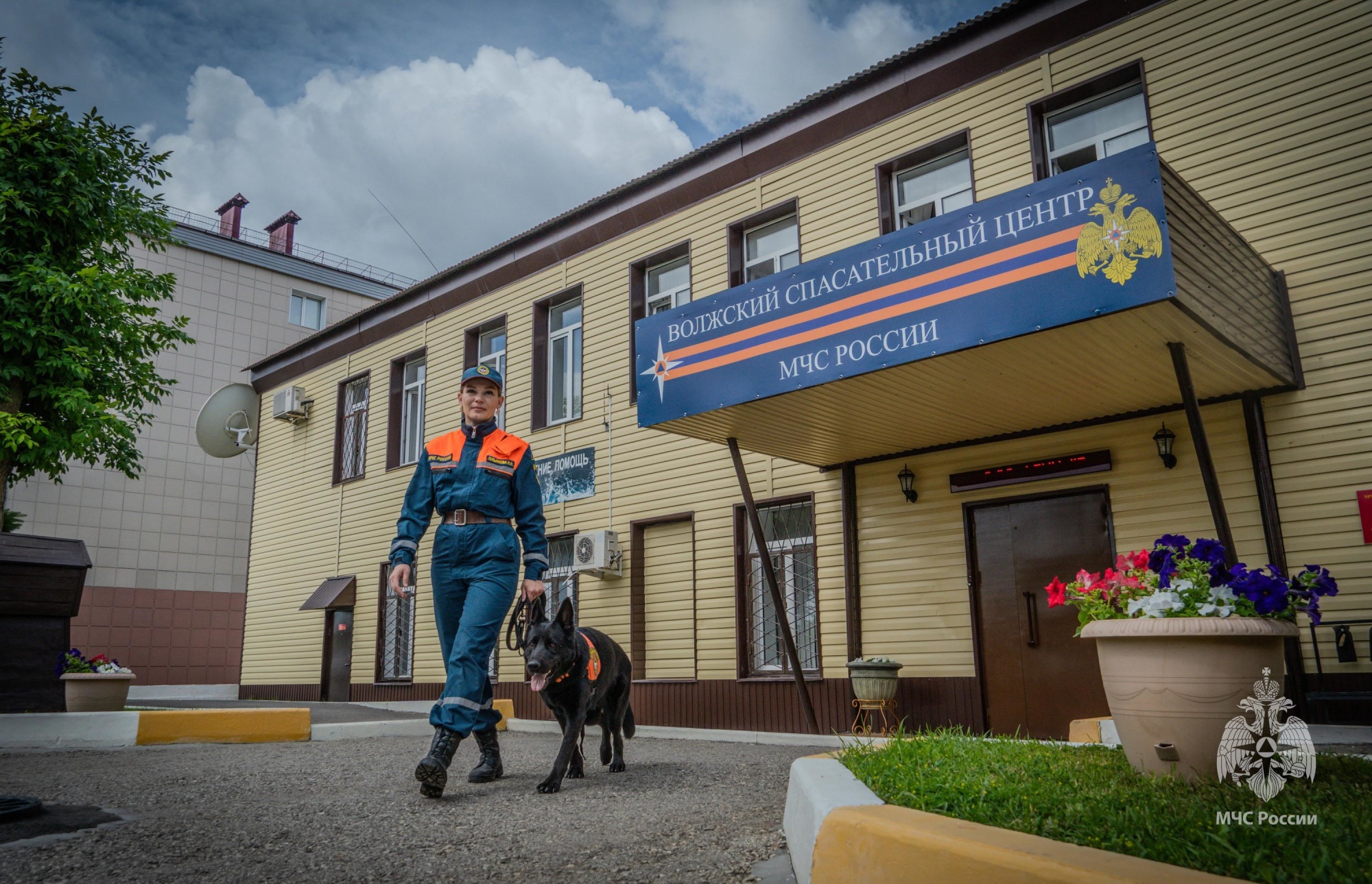 Кинолог Волжского спасательного центра в объективе информационного  городского портала! - Новости - ФГКУ 