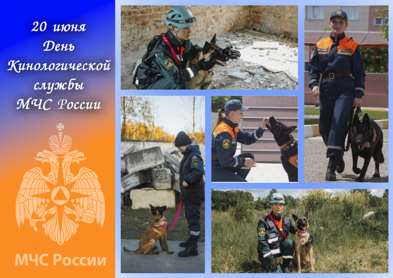 29 лет со дня основания кинологической службы в составе МЧС России!