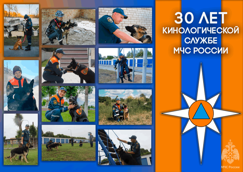 30 Лет на Страже Жизни: Кинологическая Служба МЧС России отмечает Юбилей!